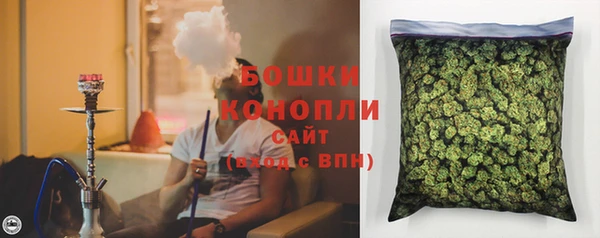сатива Бугульма