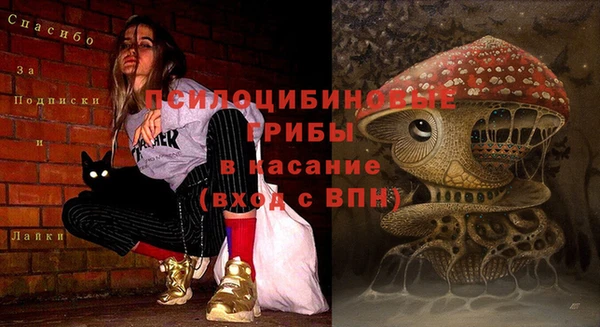 а пвп мука Богородск